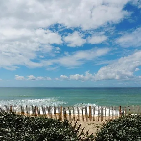 דירה En Duplex Dans Avec Piscine A Plage Pour 5 Personnes ביסקארוס