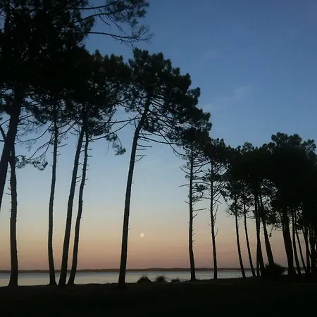 En Duplex Dans Avec Piscine A Plage Pour 5 Personnes * Biscarrosse